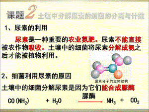 2.2土壤中分解尿素的细菌的分离与计数课件冯惠坚