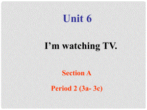 山東省濱州市鄒平實(shí)驗(yàn)中學(xué)七年級(jí)英語下冊 Unit 6 I’m watching TV Section A（3a 3c）課件