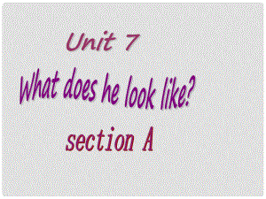 七年級(jí)英語(yǔ)下冊(cè) unit7whao does he look like sectionA課件 人教新目標(biāo)版