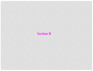 九年級(jí)英語全冊 Unit 10the time I got outsidethe bus had already leftSection B隨堂練習(xí)課件 人教新目標(biāo)版