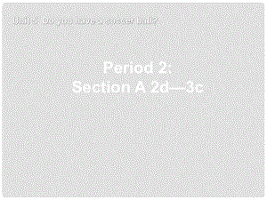 浙江省溫州市平陽縣鰲江鎮(zhèn)第三中學七年級英語上冊 Unit 5 Do you have a soccer ball Section A 2d3c課件 （新版）人教新目標版