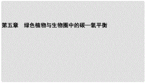 廣東省梅州市五華縣城鎮(zhèn)中學七年級生物上冊 第三單元 第五章《綠色植物與生物圈中的碳—氧平衡》課件 新人教版