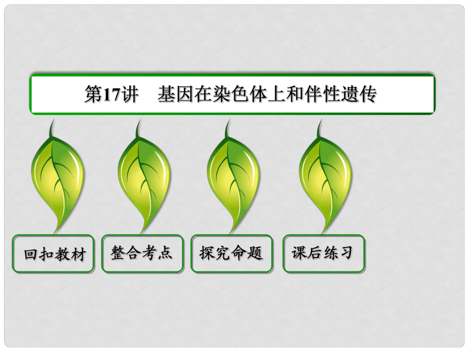 高考生物一輪復(fù)習(xí) 第17講 基因在染色體上和伴性遺傳課件_第1頁