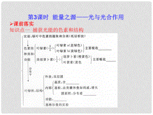 高考生物一輪復(fù)習(xí) 33 能量之源—光與光合作用課件 新人教版必修1