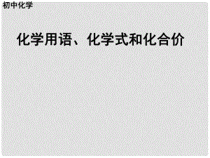 重慶市巴南區(qū)中考化學專題復習 化學用語、化學式和化合價課件