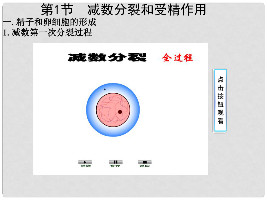 高考生物一輪復(fù)習(xí) 減數(shù)分裂課件_第1頁(yè)