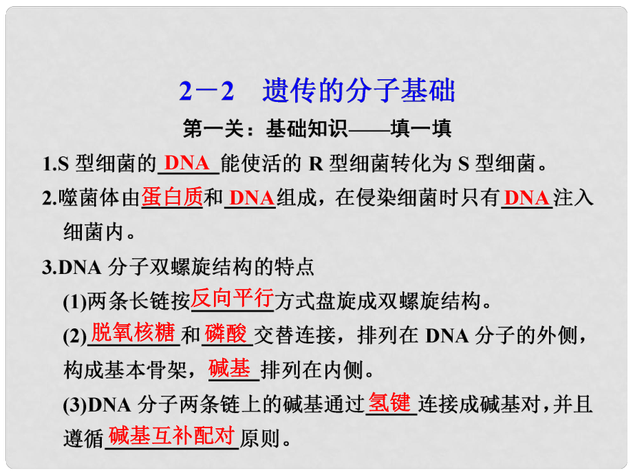 高考生物大二輪專題復(fù)習(xí)與增分策略（技能+規(guī)范+回扣）第二篇 22遺傳的分子基礎(chǔ)課件_第1頁