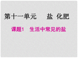 河北省高碑店市白芙蓉中學(xué)九年級(jí)化學(xué)下冊(cè) 第十一單元《常見(jiàn)的鹽》課件 新人教版