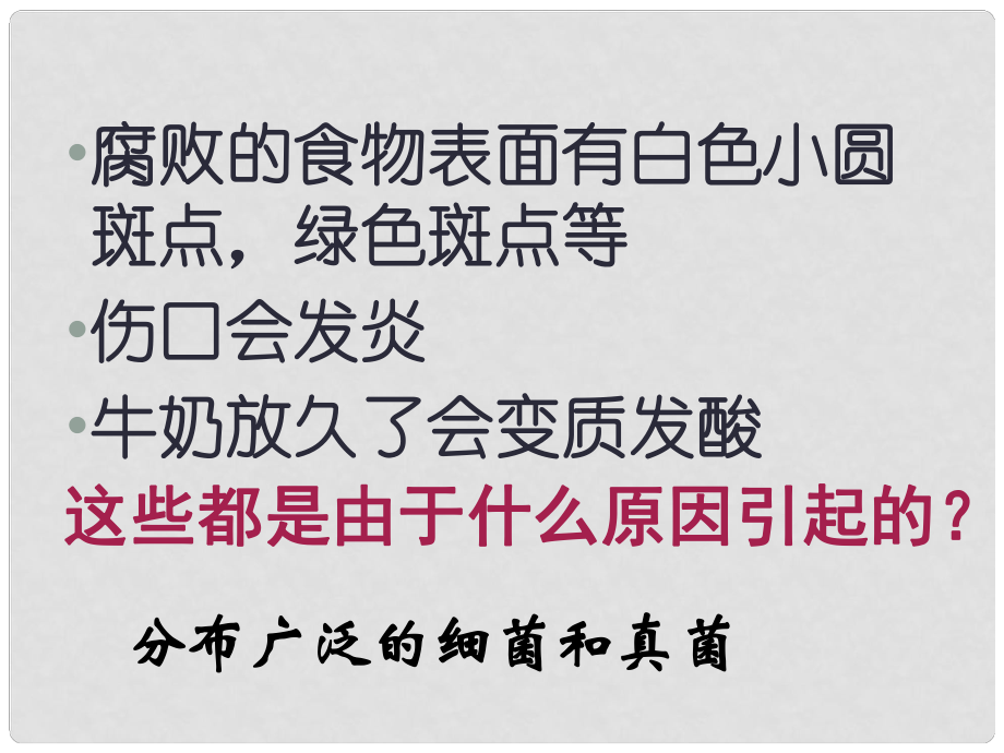 福建省廈門樂安中學(xué)八年級生物上冊 第四章 第一節(jié) 細(xì)菌和真菌的分布課件 新人教版_第1頁