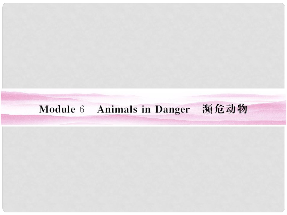 高考英語 Module 6　Animals in Danger課件 外研版必修5_第1頁