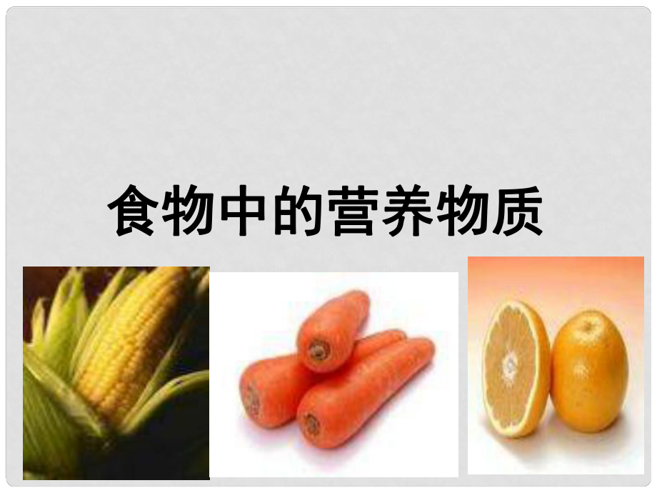 中考生物 查漏補缺復習 專題十 食物中的營養(yǎng)物質課件_第1頁