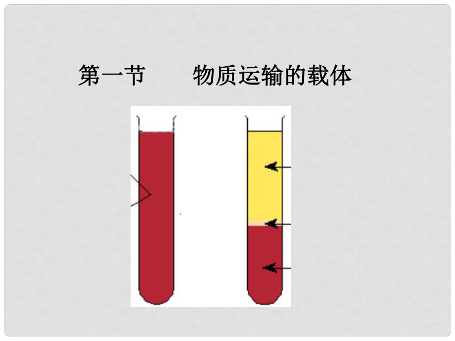 七年級生物下冊 物質(zhì)運(yùn)輸?shù)妮d體課件 濟(jì)南版_第1頁