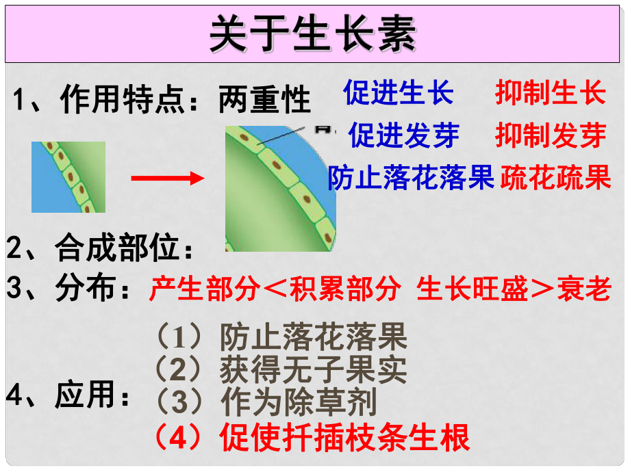 高中生物《第三章 第三節(jié) 其他植物激素》課件4 新人教版必修3_第1頁