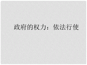 山東省冠縣武訓(xùn)高級中學(xué)高中政治《41 政府的權(quán)力 依法行使》課件 新人教版必修2