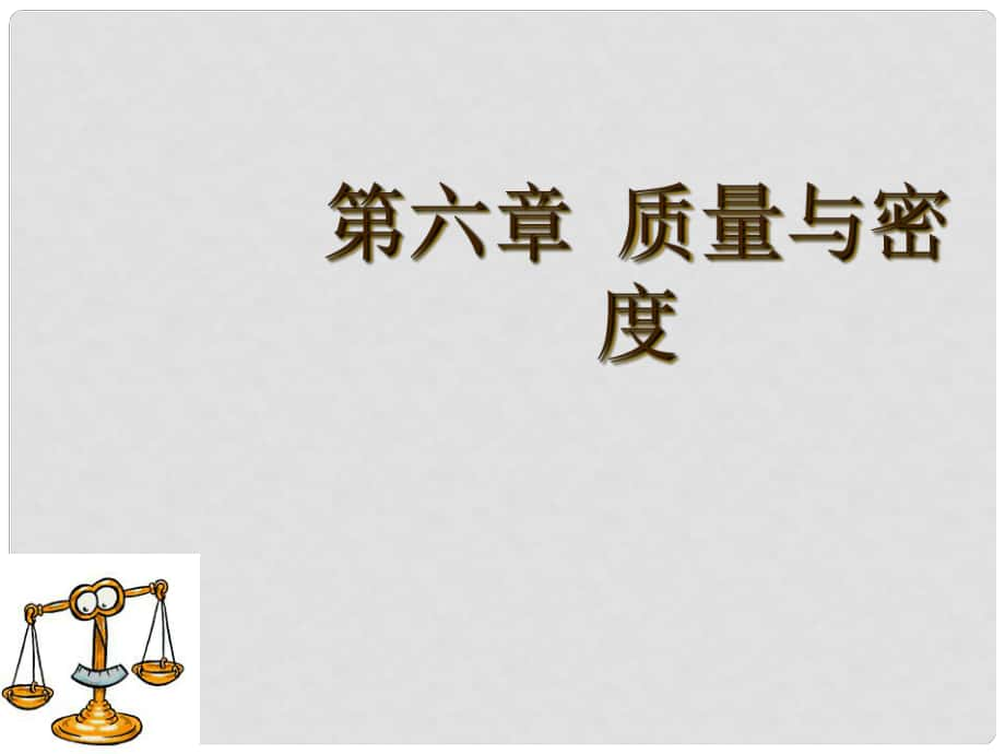 广东省河源市中英文实验学校中考物理 第六章 质量与密度复习课件_第1页