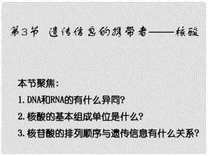 高中生物《第一章 第一節(jié) 從生物圈到細(xì)胞》課件3 新人教版必修1