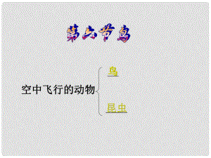 四川省雷波民族中学八年级生物上册 第五单元 第一章《第六节 鸟》课件 （新版）新人教版