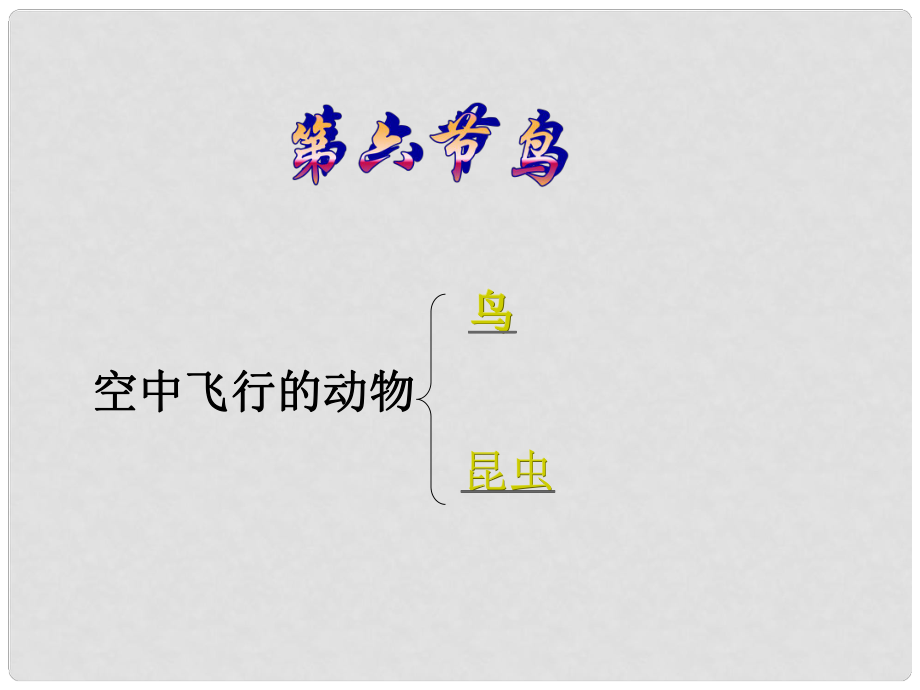 四川省雷波民族中学八年级生物上册 第五单元 第一章《第六节 鸟》课件 （新版）新人教版_第1页