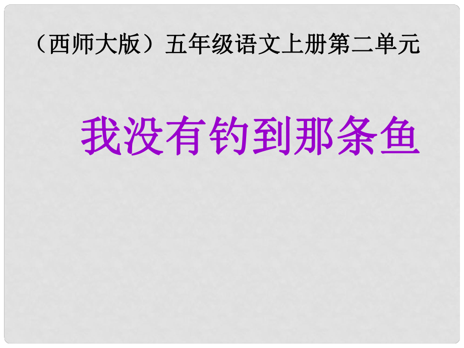 五年級(jí)語文上冊(cè) 第6課《我沒有釣到那條魚》課件 西師大版_第1頁