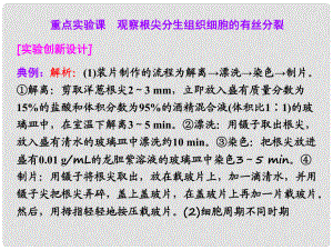 高考生物一輪復(fù)習(xí) 第四單元 第一講 重點實驗課 觀察根尖分生組織細(xì)胞的有絲分裂課件 新人教版必修1