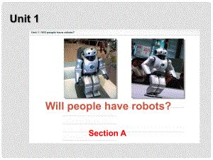浙江省溫州市第二十中學(xué)八年級(jí)英語(yǔ)下冊(cè) unit 1 Will people have robots Section A課件 人教新目標(biāo)版