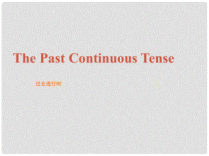 福建省廈門(mén)市思明區(qū)東埔學(xué)校初中英語(yǔ) 過(guò)去進(jìn)行時(shí)課件 人教新目標(biāo)版