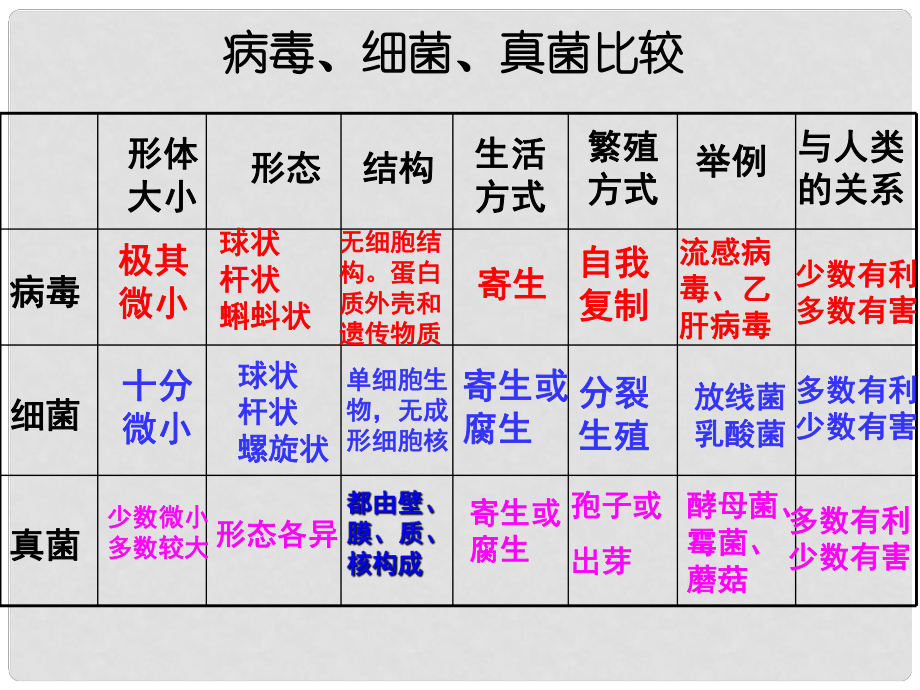 山東省高密市銀鷹文昌中學七年級生物上冊 細菌、真菌在生物圈中的作用課件2 濟南版_第1頁