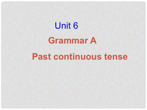 江蘇省句容市后白中學(xué)八年級英語上冊 Unit 6 Birdwatchers Grammar A Past continuous tense課件 牛津版