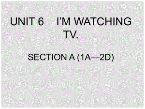 四川省攀枝花市第二初級(jí)中學(xué)七年級(jí)英語(yǔ)下冊(cè)《Unit 6 I'm watchIng TV SectIon A (1a—2d)》課件 人教新目標(biāo)版