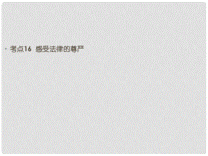 內蒙古烏拉特中旗二中七年級政治下冊 感受法律的尊嚴復習課件 新人教版