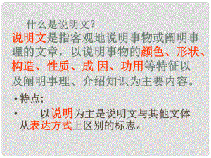 浙江省泰順縣新城學(xué)校八年級語文上冊《第11課 中國石拱橋》課件 新人教版