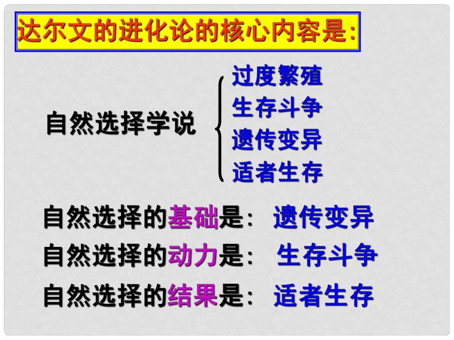 浙江省嵊州市三界鎮(zhèn)中學(xué)九年級(jí)科學(xué)下冊(cè) 進(jìn)化與遺傳課件 浙教版_第1頁