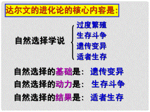 浙江省嵊州市三界鎮(zhèn)中學九年級科學下冊 進化與遺傳課件 浙教版