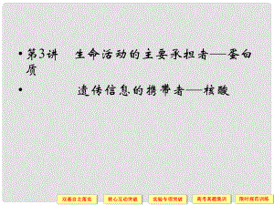 高考生物總復(fù)習(xí) 113生命活動的主要承擔者蛋白質(zhì) 遺傳信息的攜帶者 核酸課件 新人教版必修1