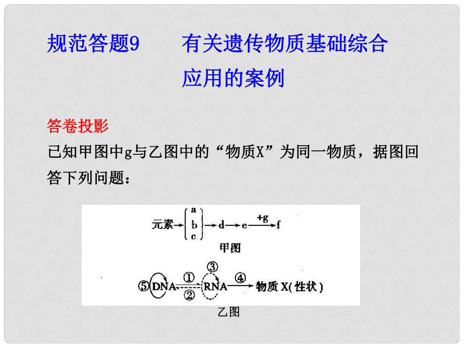 高考生物 答題規(guī)范 有關遺傳物質(zhì)基礎綜合教學課件 新人教版_第1頁