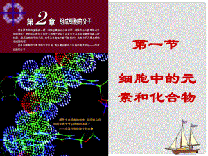 高中生物《第二章 第一節(jié) 細(xì)胞中的元素和化合物》課件1 新人教版必修1