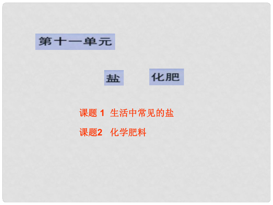 江蘇省無(wú)錫市濱湖中學(xué)九年級(jí)化學(xué)下冊(cè)《第十一單元 鹽、化肥》課題1 生活中常見(jiàn)的鹽課件1 新人教版_第1頁(yè)