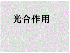 高中生物 第四節(jié)能量之源 光合作用4課件 新人教版必修1