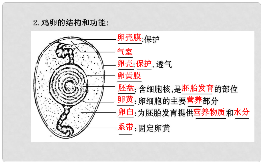 新学期中考生物八下鸟的生殖和发育知识点汇集含教师