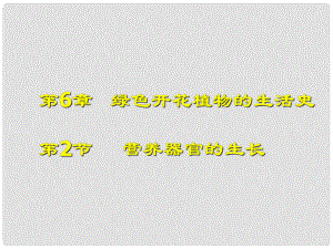 重慶市萬州區(qū)塘坊初級中學(xué)七年級生物上冊 第六章 綠色開花植物的生活史 62 營養(yǎng)器官的生長課件 北師大版