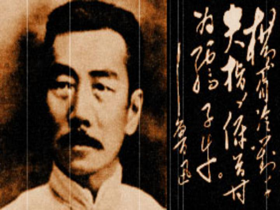 江蘇省常州市西夏墅中學(xué)高三語文 認(rèn)識(shí)“拿來主義”復(fù)習(xí)課件 蘇科版_第1頁