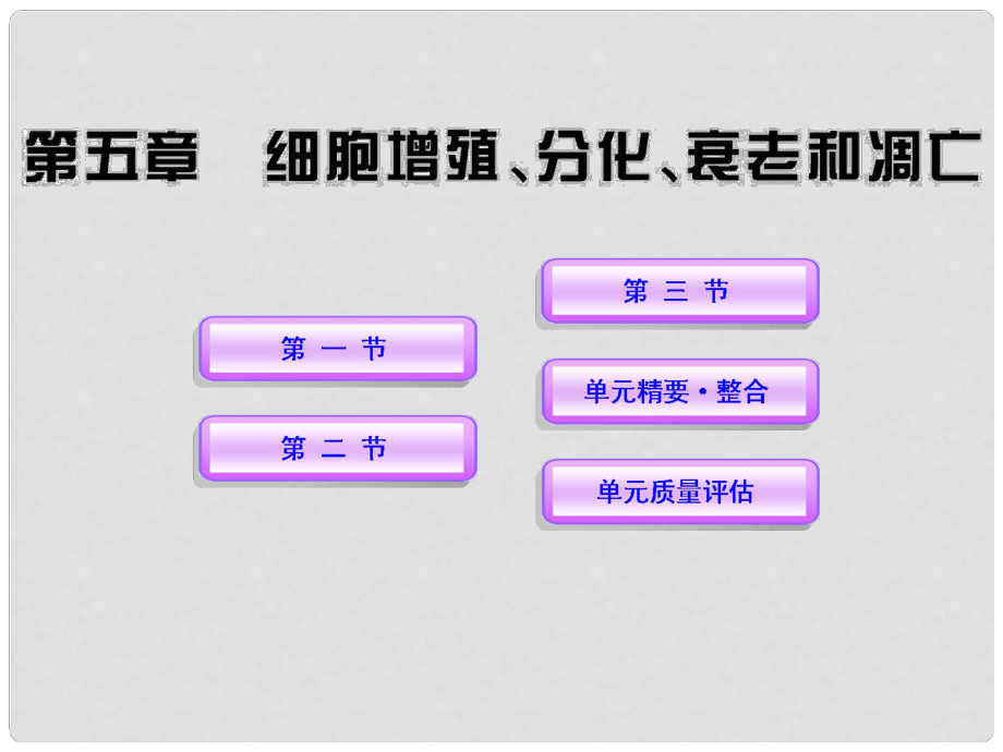 高中生物課時(shí)講練通配套課件 5《細(xì)胞增殖、分化、衰老和凋亡》 蘇教版必修1_第1頁