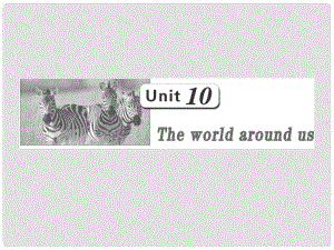 高三英語一輪復習 Unit10 The world zround us課件 大綱人教版