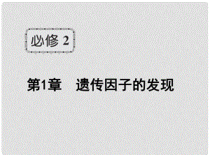 新高考第一輪總復(fù)習(xí) 第十六課時(shí) 第1節(jié) 孟德?tīng)柕耐愣闺s交實(shí)驗(yàn)（1）課件 新人教版必修2