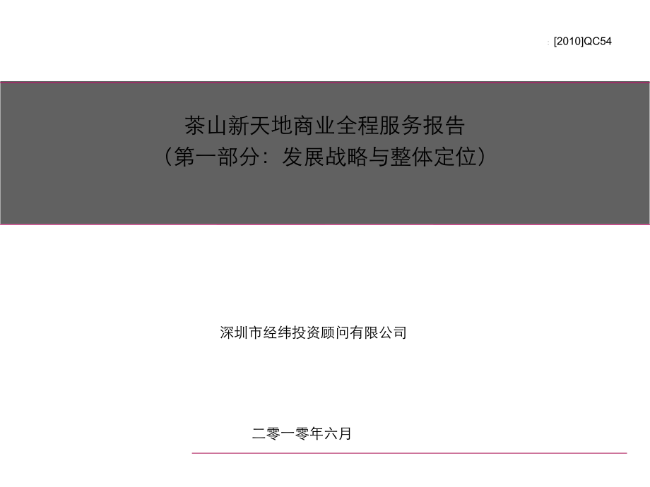 东莞茶山新天地商业全程服务报告98p_第1页