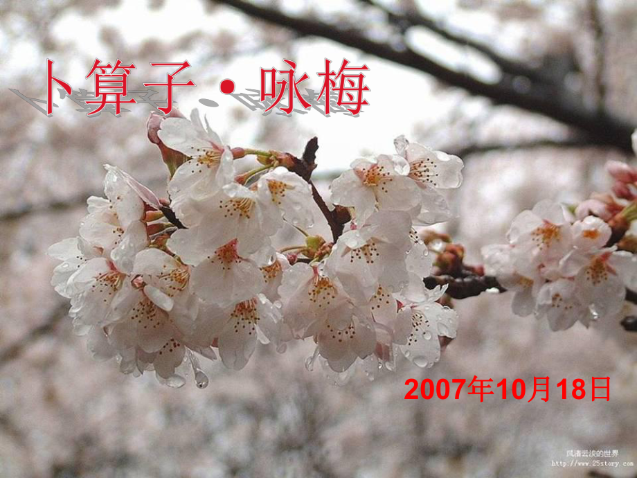 河南省鄲城縣光明中學(xué)九年級(jí)語(yǔ)文上冊(cè) 卜算子詠梅課件 新人教版_第1頁(yè)