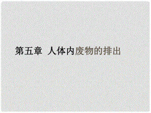 七年級生物下冊 尿的形成和排除課件人教新課標(biāo)版