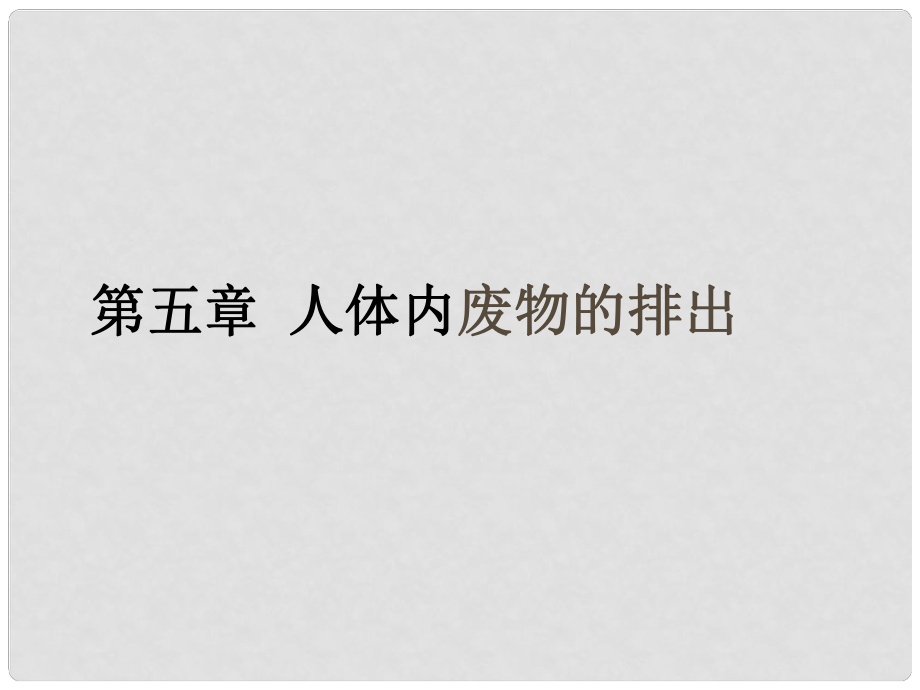 七年級生物下冊 尿的形成和排除課件人教新課標版_第1頁