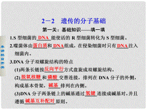 高考生物二輪 第二篇 22遺傳的分子基礎(chǔ)課件