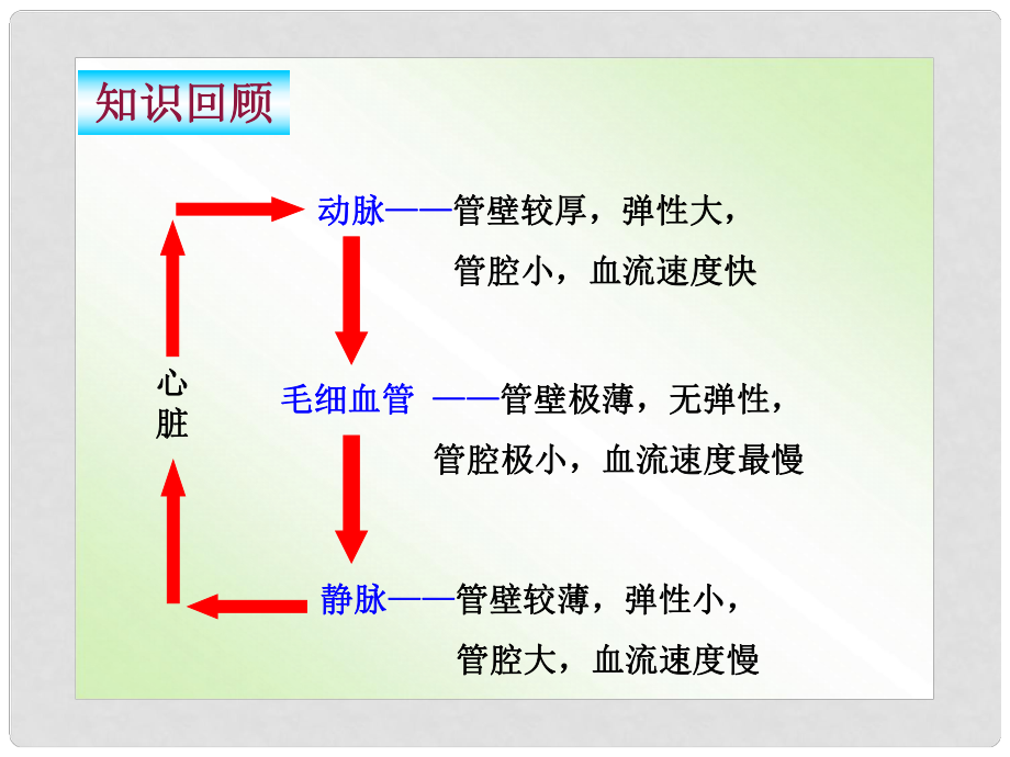 湖北省武漢為明實驗學校七年級生物下冊 輸送血液的泵課件 新人教版_第1頁